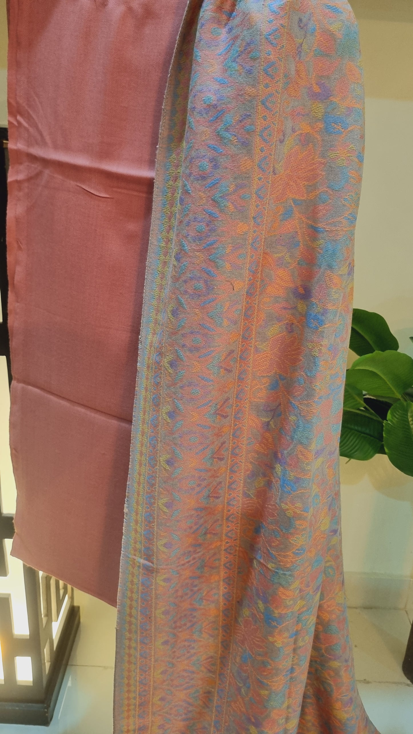 Kaani shawl with plain suit