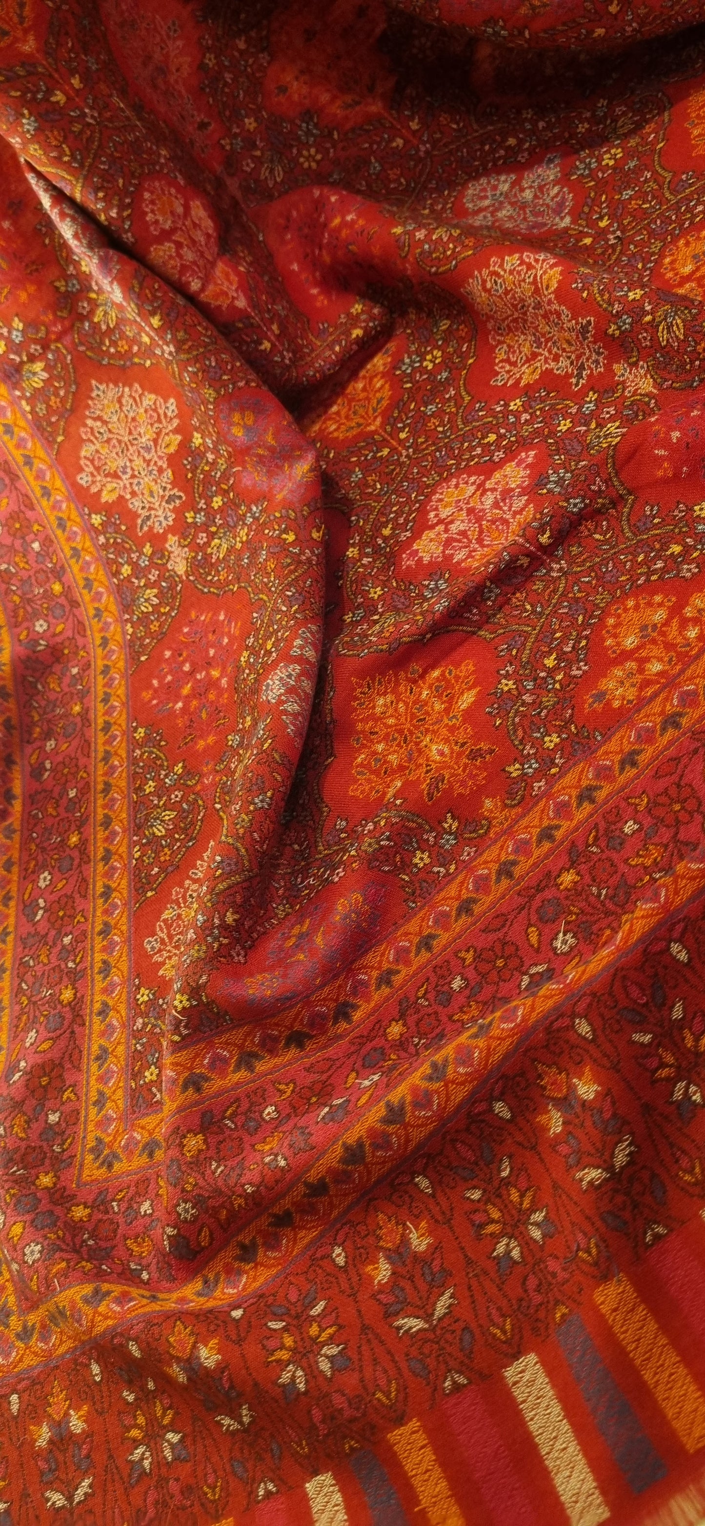 Jama kaani pashmina shawl
