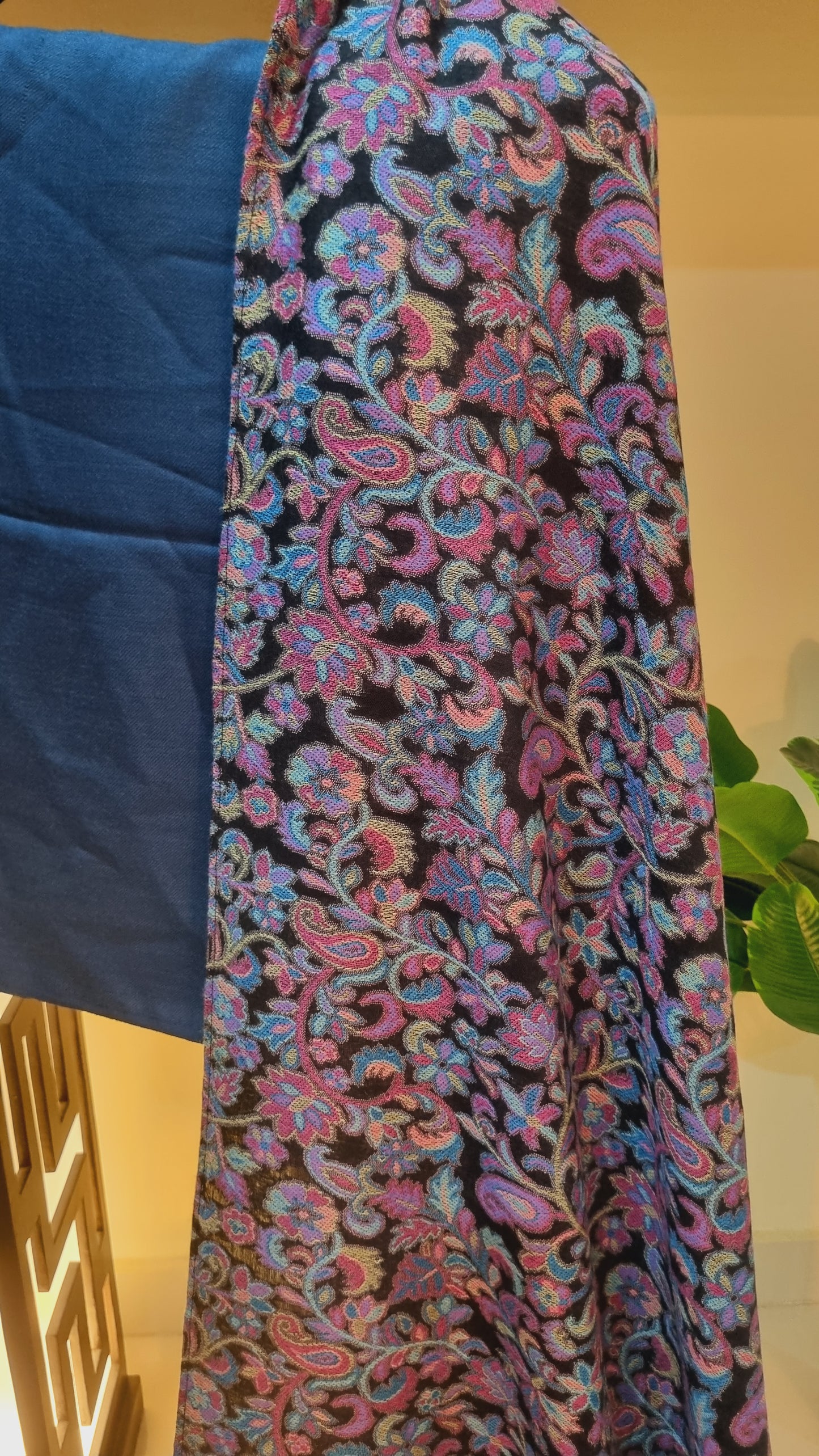Kaani shawl with plain suit