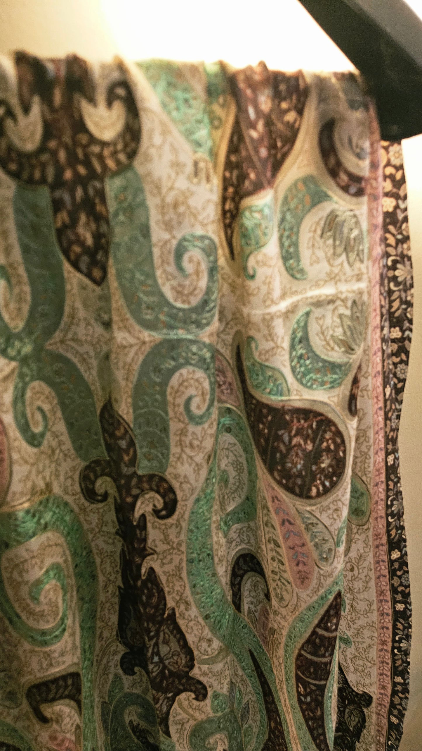 Reelkar embroidered minishawl: Pashmina