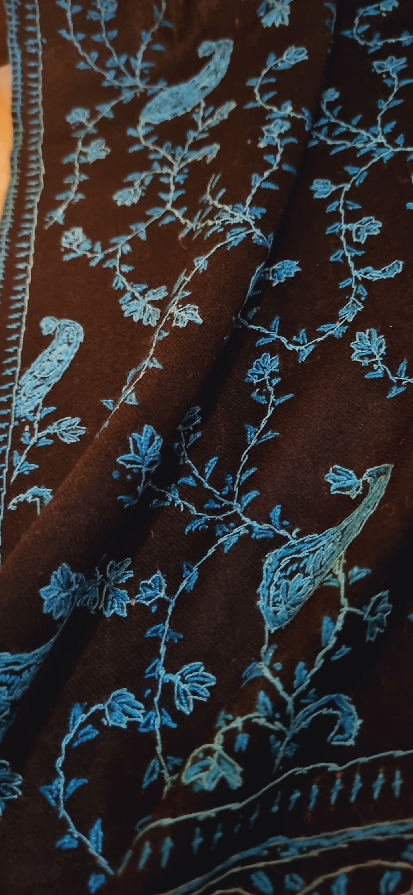 Sui embroidered toosh shawl