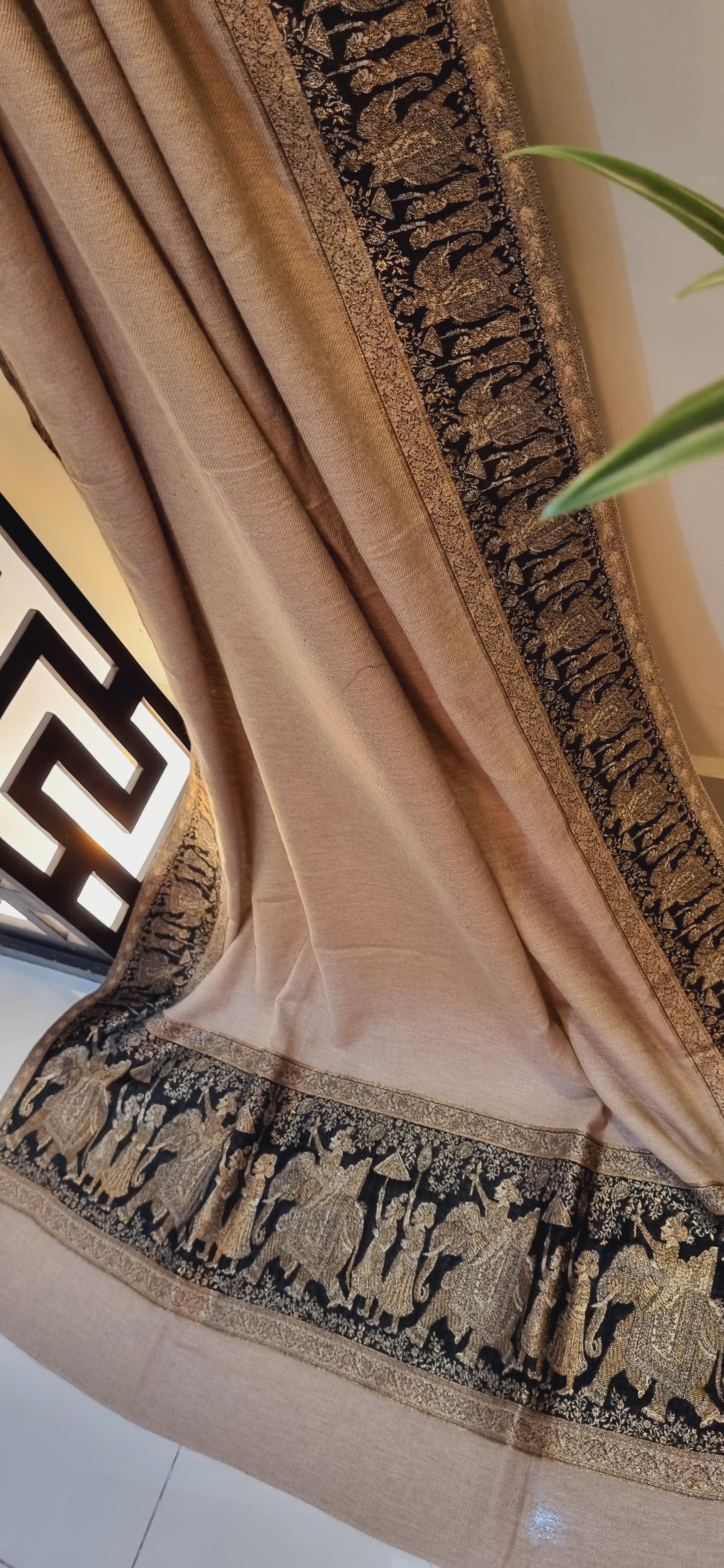 Barati Kaani shawl: Pashmina