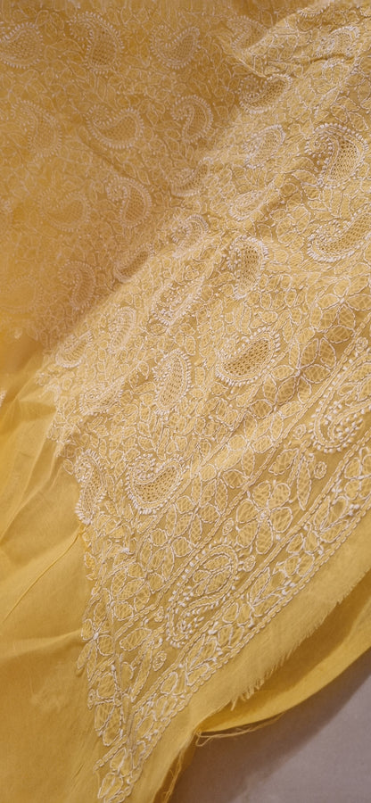 Chikankari shirt piece