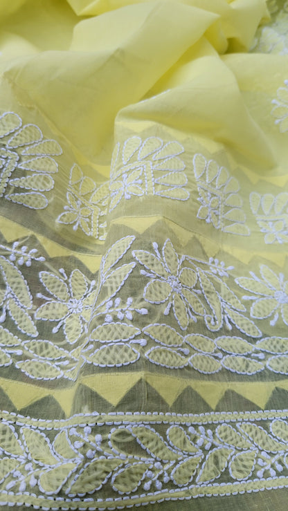 Chikankari combo : shirt dupata