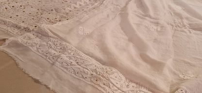 Chikankari kamdani Chiffon suit