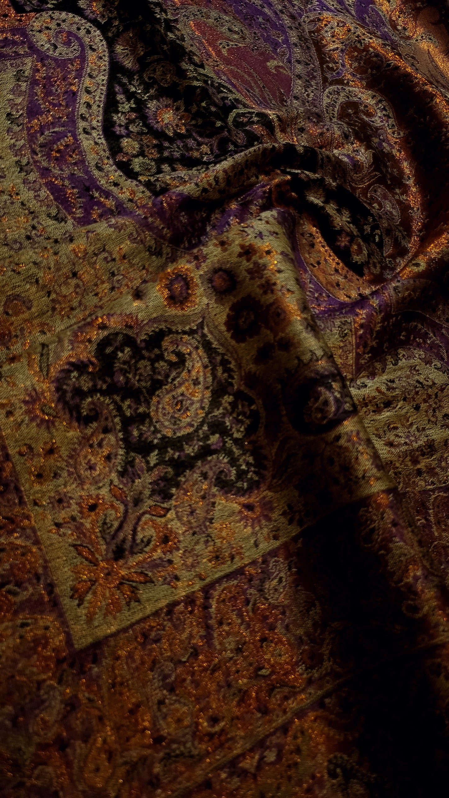 Purple beauty : Reversible kaani shawl