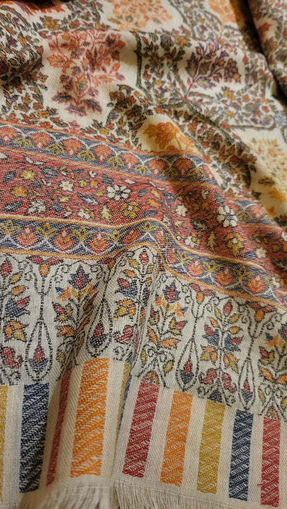 Neutral affair : pashmina kaani shawl