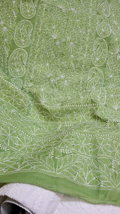 Apple green : chikankari shirt