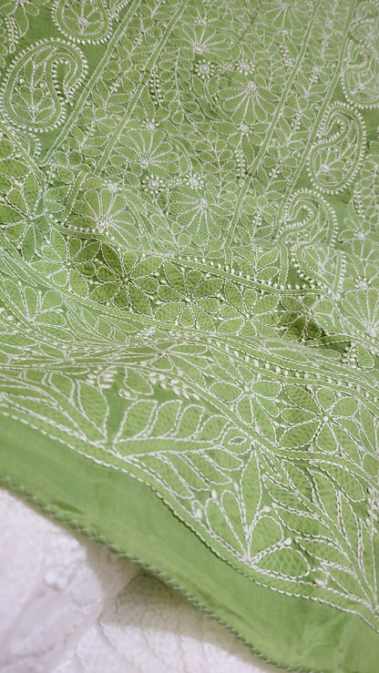 Apple green : chikankari shirt