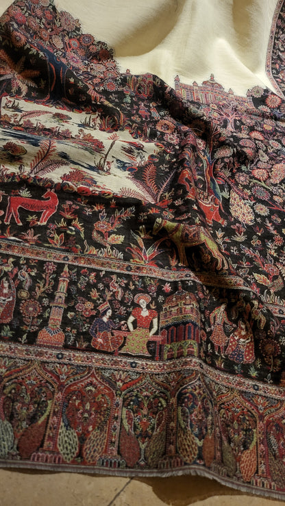 Story teller : kaani shawl