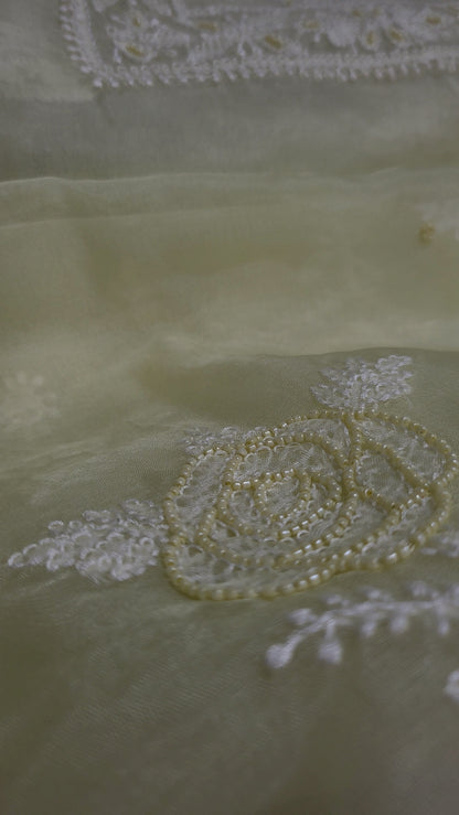 Butter yellow : Lucknowy suit
