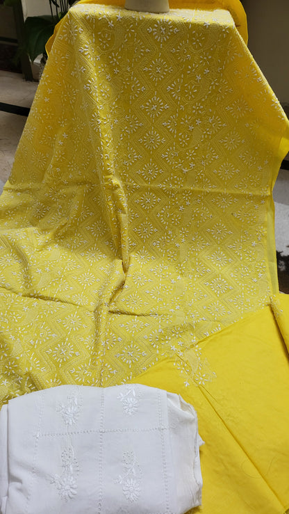 Spring edition : chikankari suit