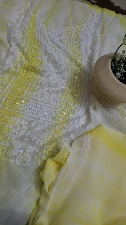 Chifoon edition : Hand Embroidered