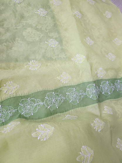 Chikankari shirt : Centre panel