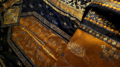 Silk kaani : shawl