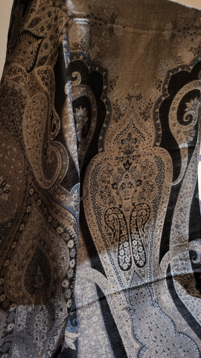 Gandhara Reversible kaani : shawl