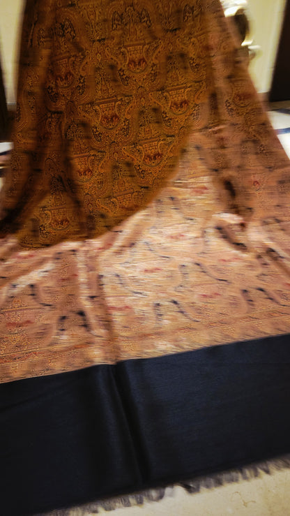 Gandhara kaani : Reversible shawl