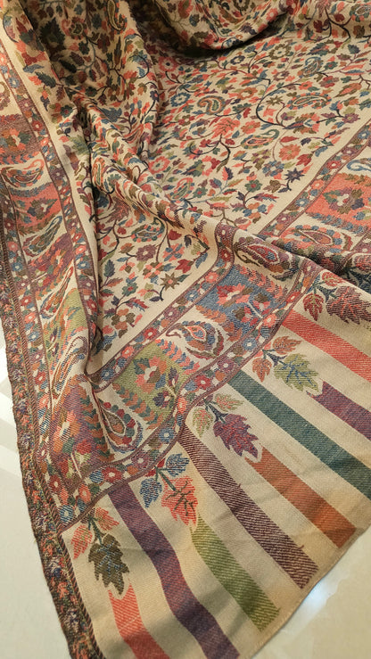 Tabrizi kaani: Pashmina