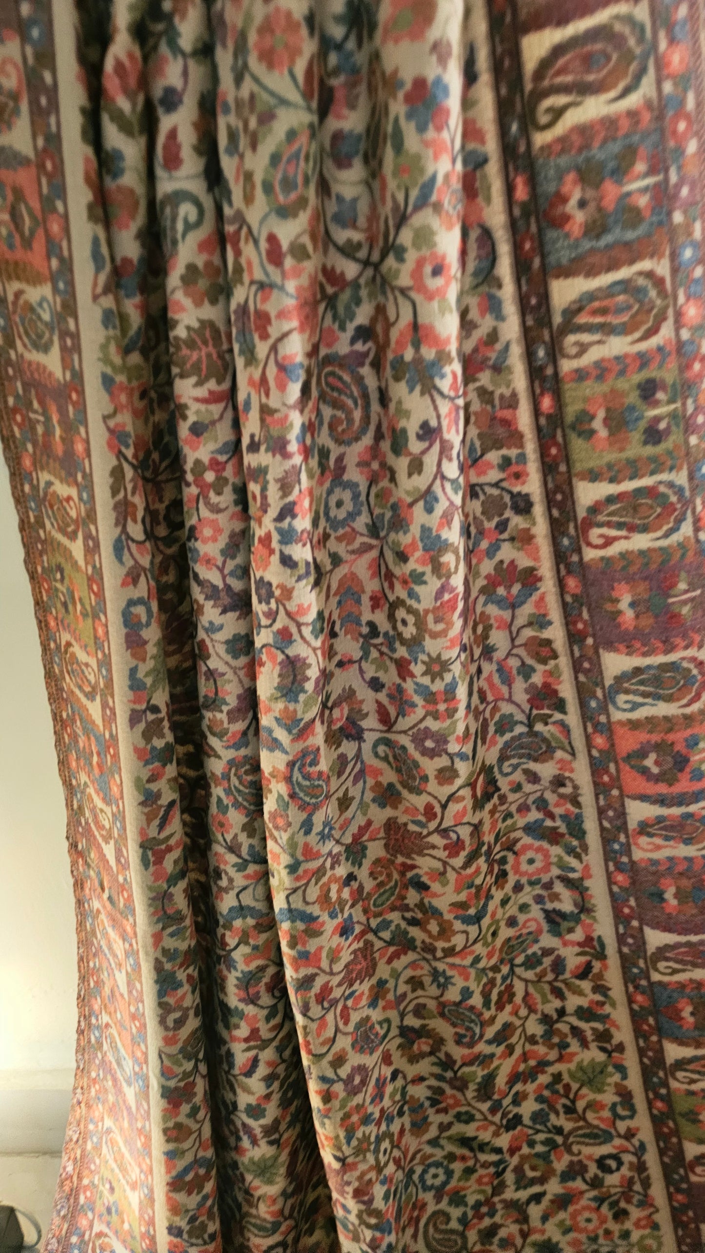 Tabrizi kaani: Pashmina