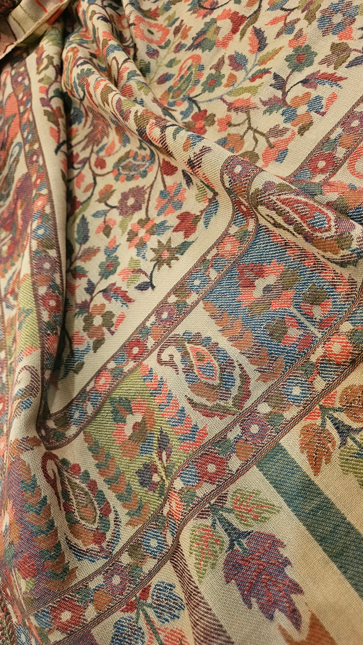 Tabrizi kaani: Pashmina