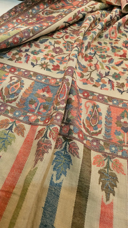 Tabrizi kaani: Pashmina