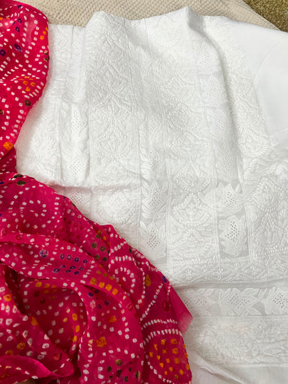 Chikankari shirt : Net panel