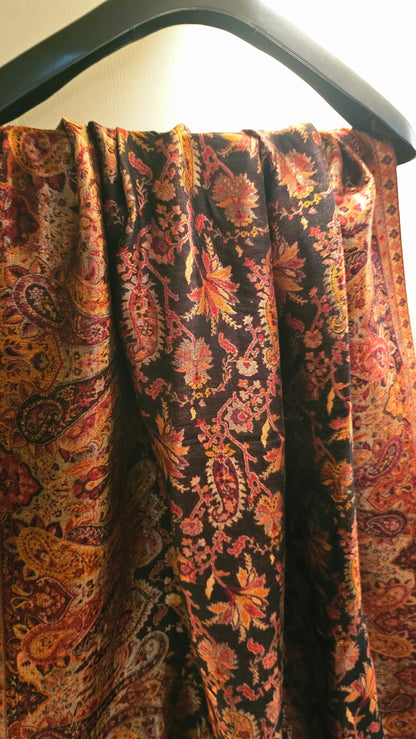 Moonlight reversible gandhara kaani: Pashmina