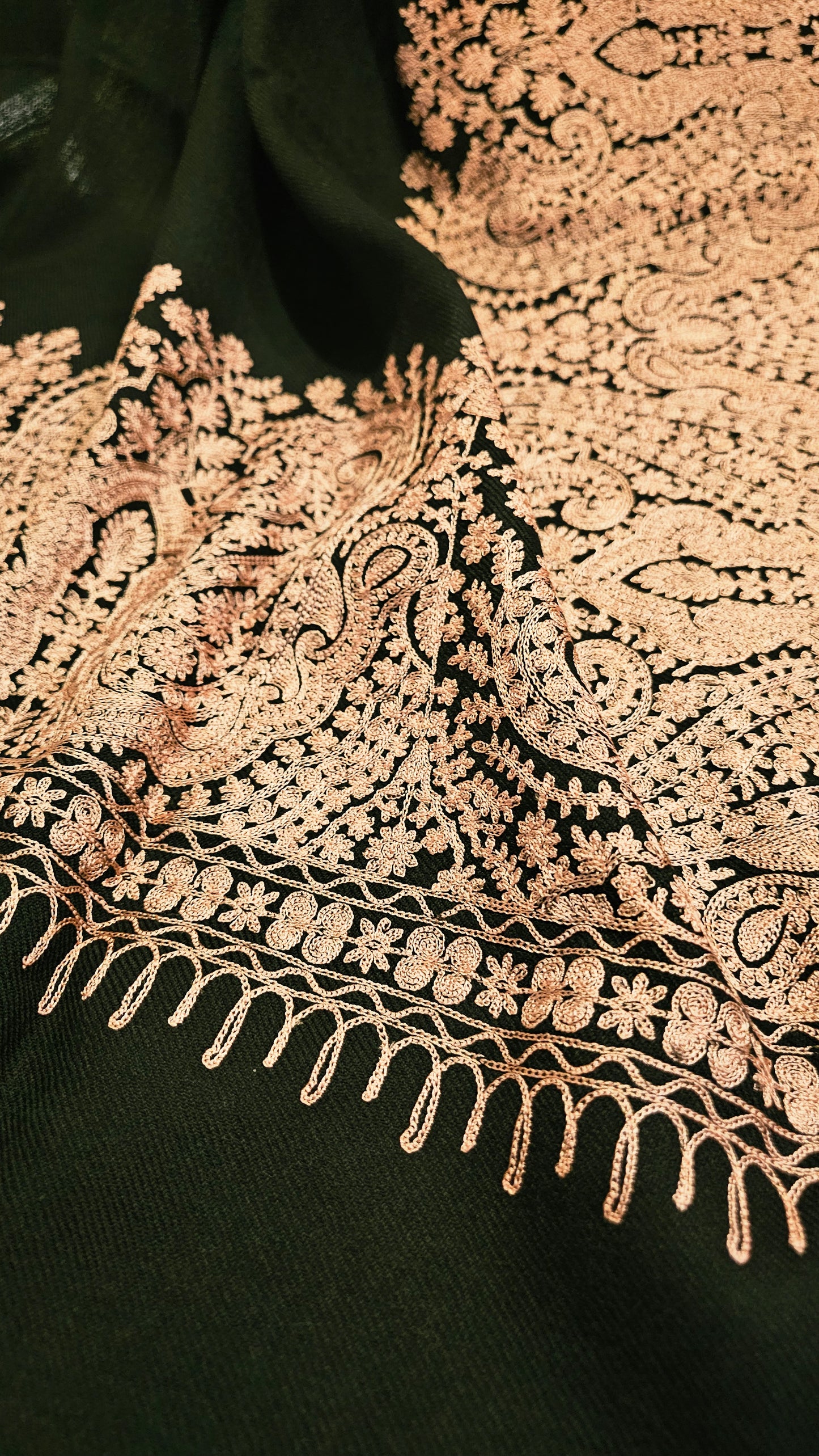 Border embroidered: Pashmina