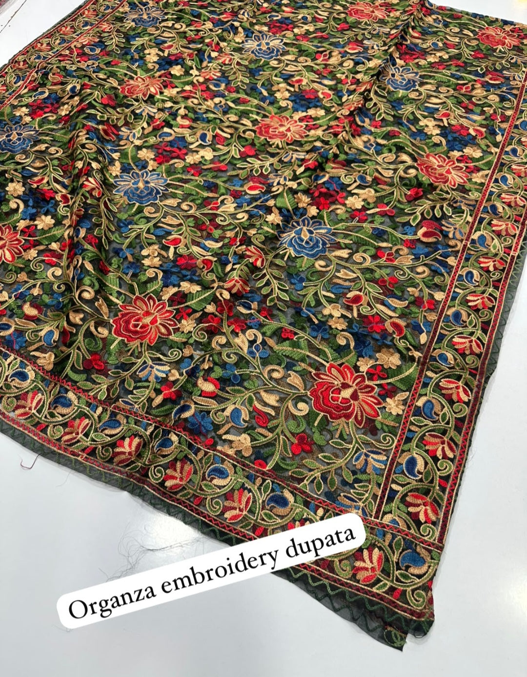 Embroidered duapta: Organza