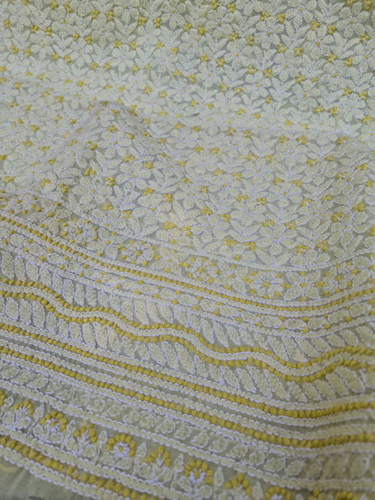 Sale Chikankari with two tone thread