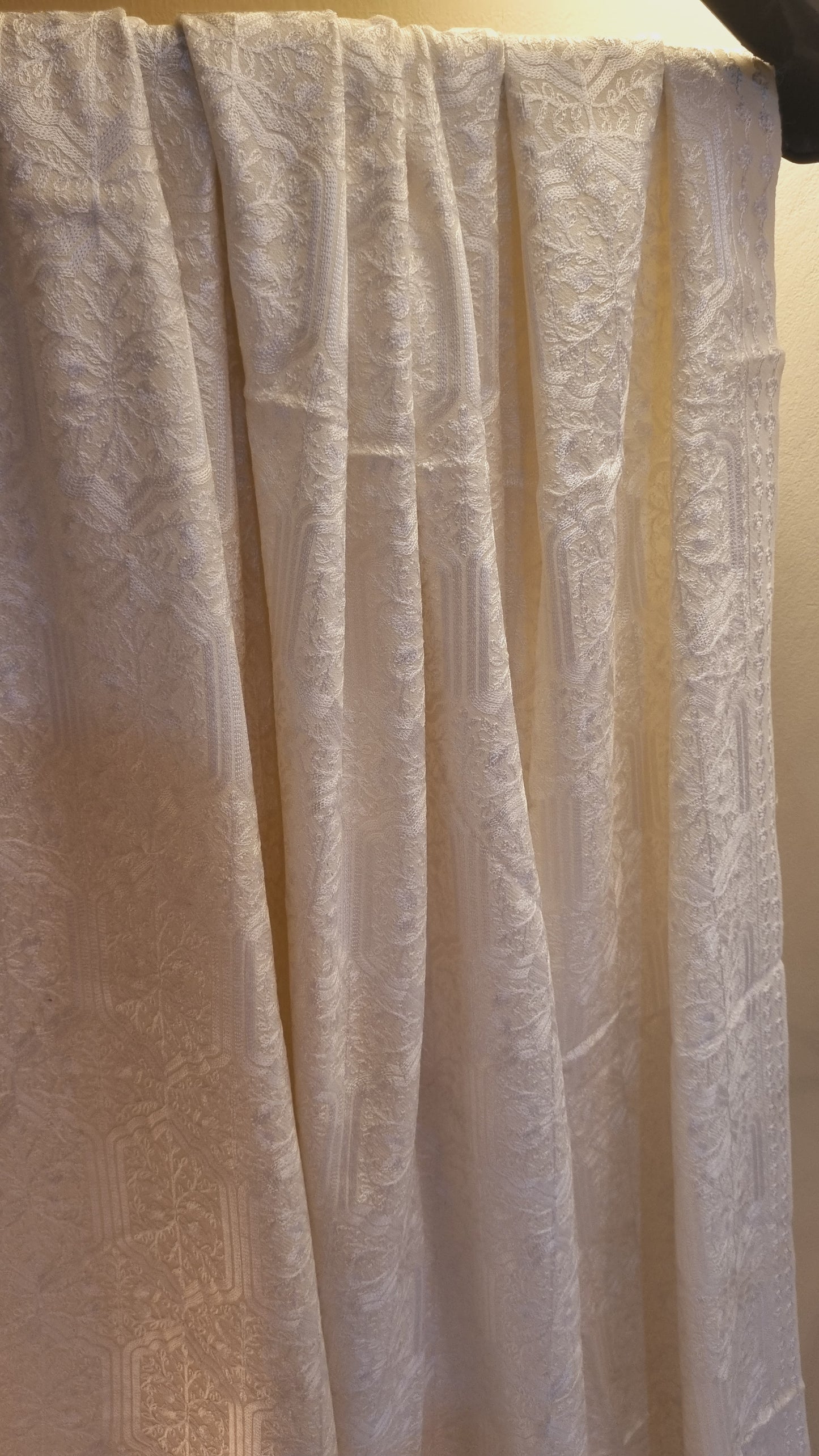 Pashmina shawl embroidered
