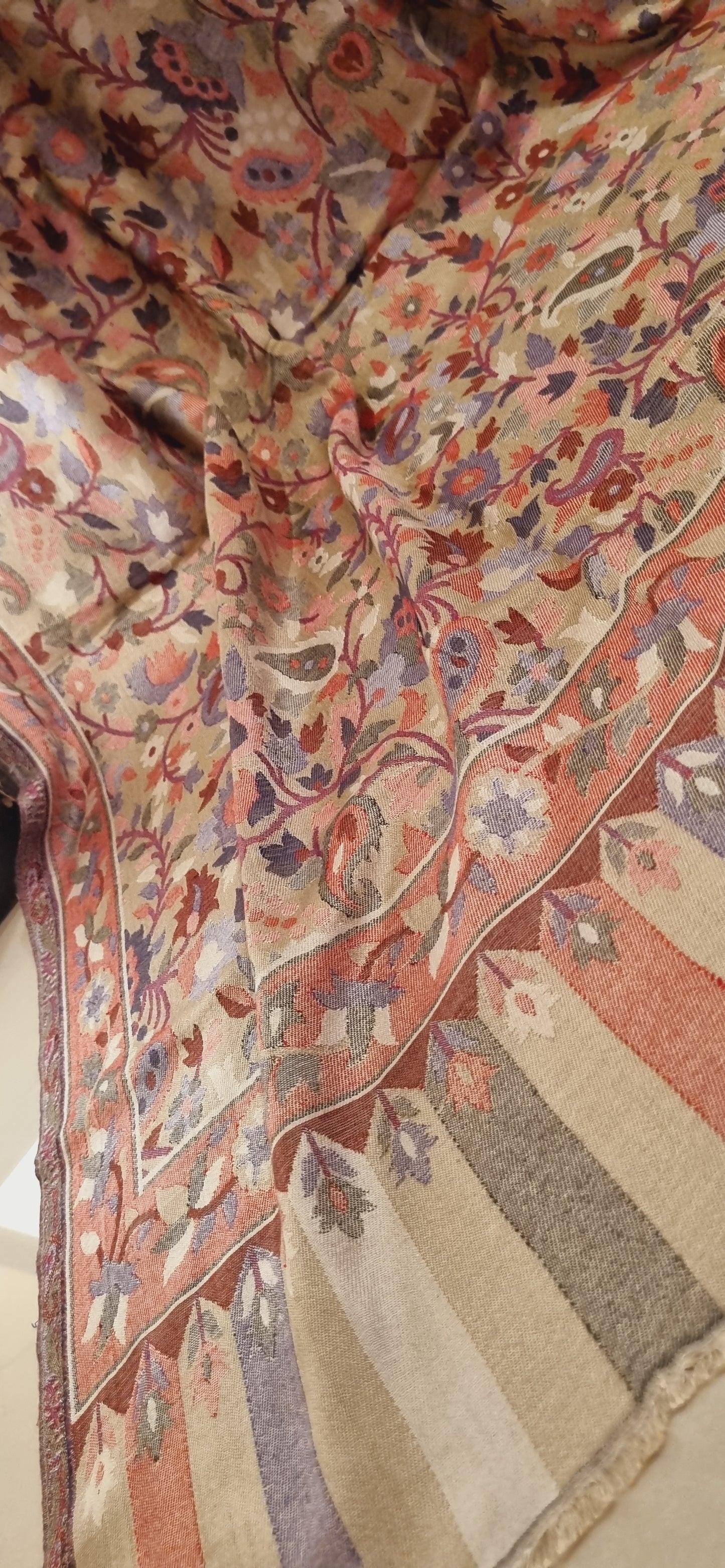 Pashmina kaani shawl