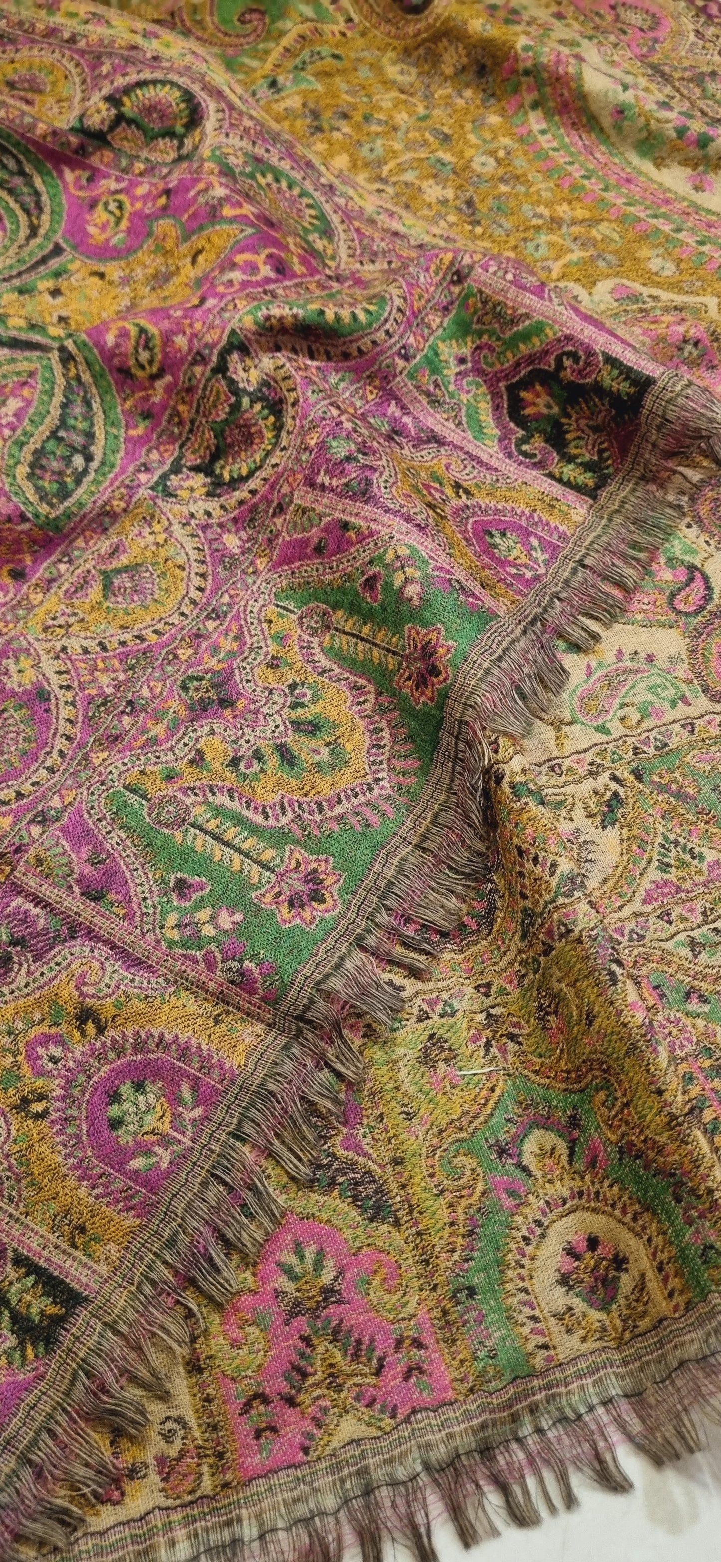 Reversible Persian kaani Pashmina shawl
