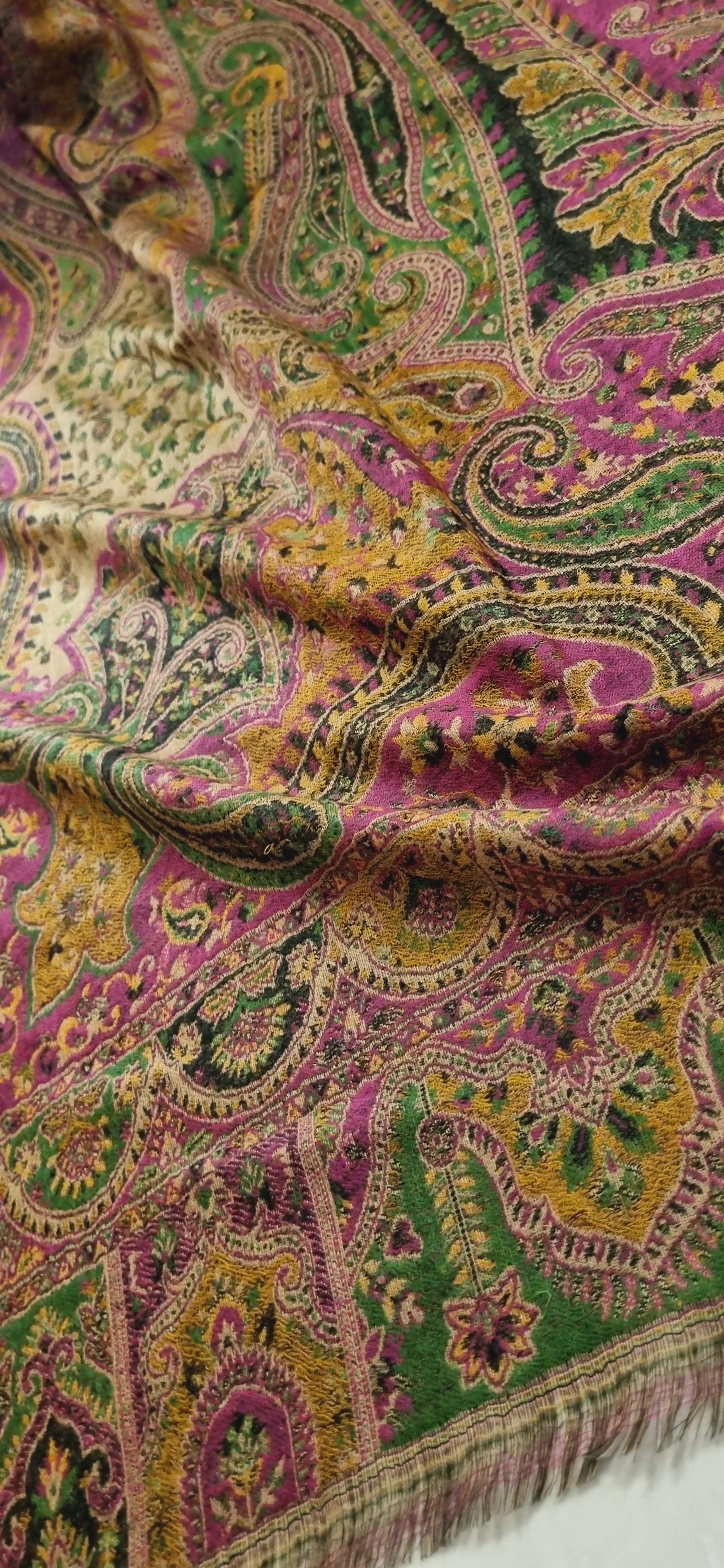 Reversible Persian kaani Pashmina shawl