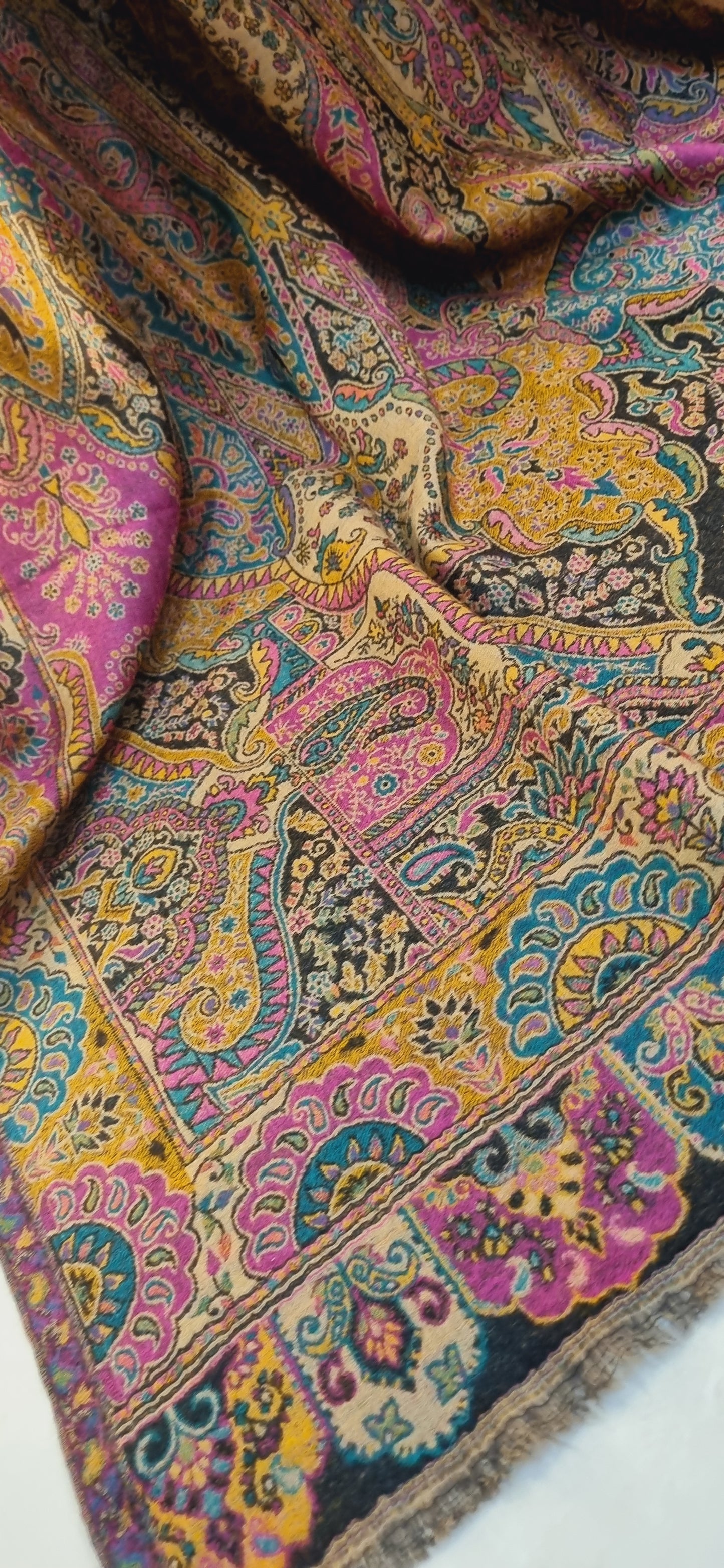 Persian kaani pashmina shawl