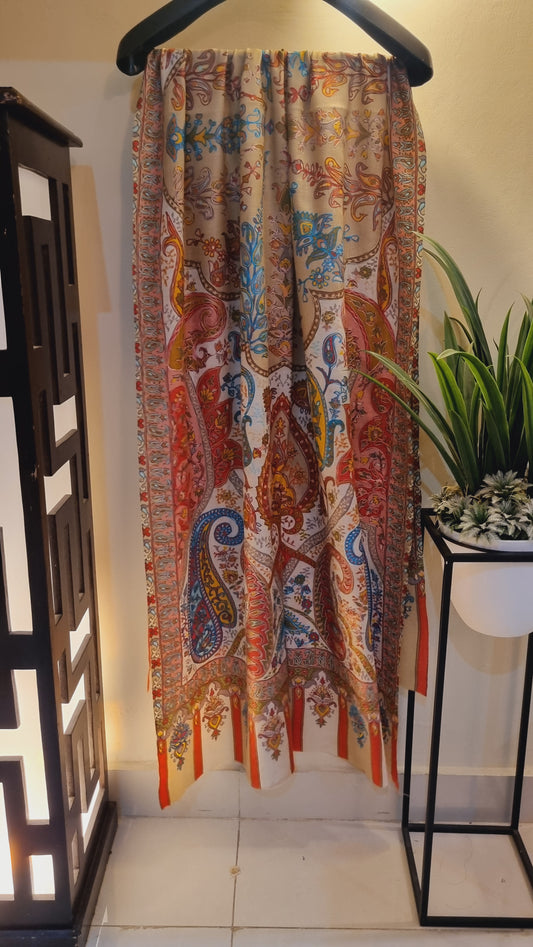 Reelkar embroidered minishawl