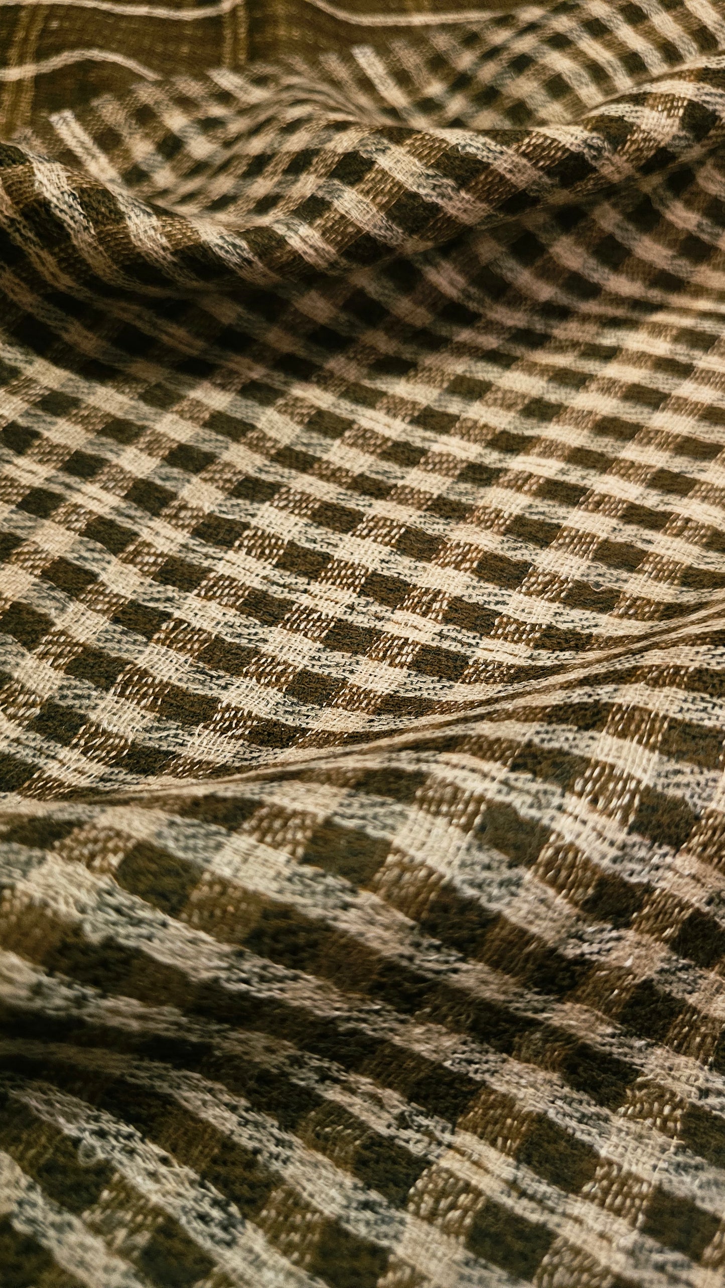 Reversible kaani shawl: toosh