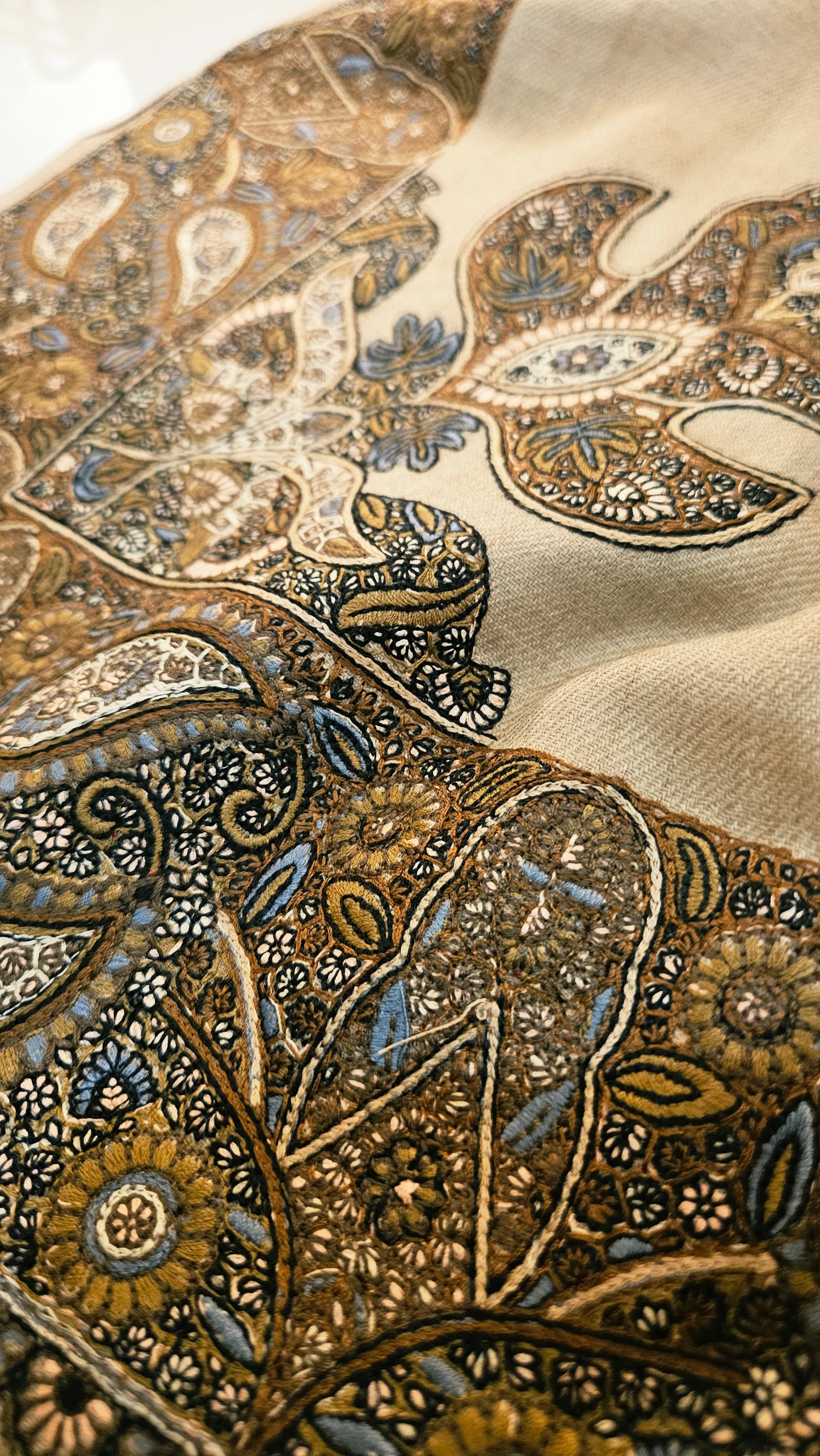 Papermachi embroidered: Pashmina
