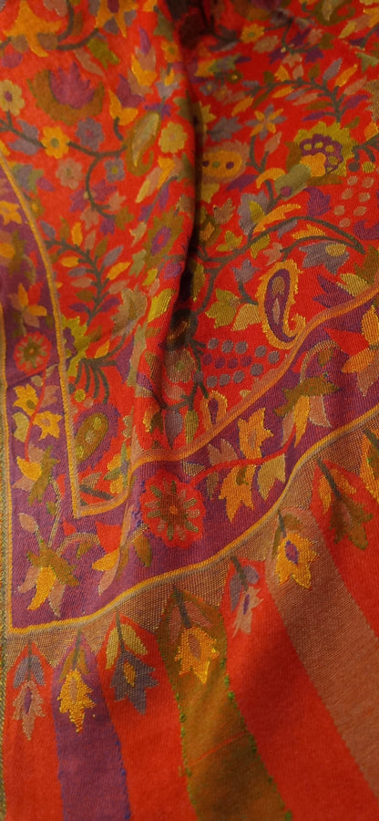 Pashmina kaani shawl