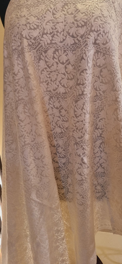Pashmina embroidered Minishawl