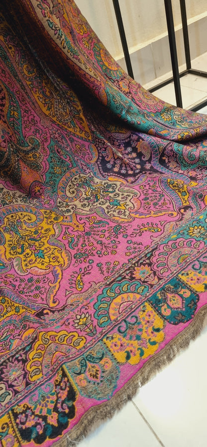Persian kaani pashmina shawl