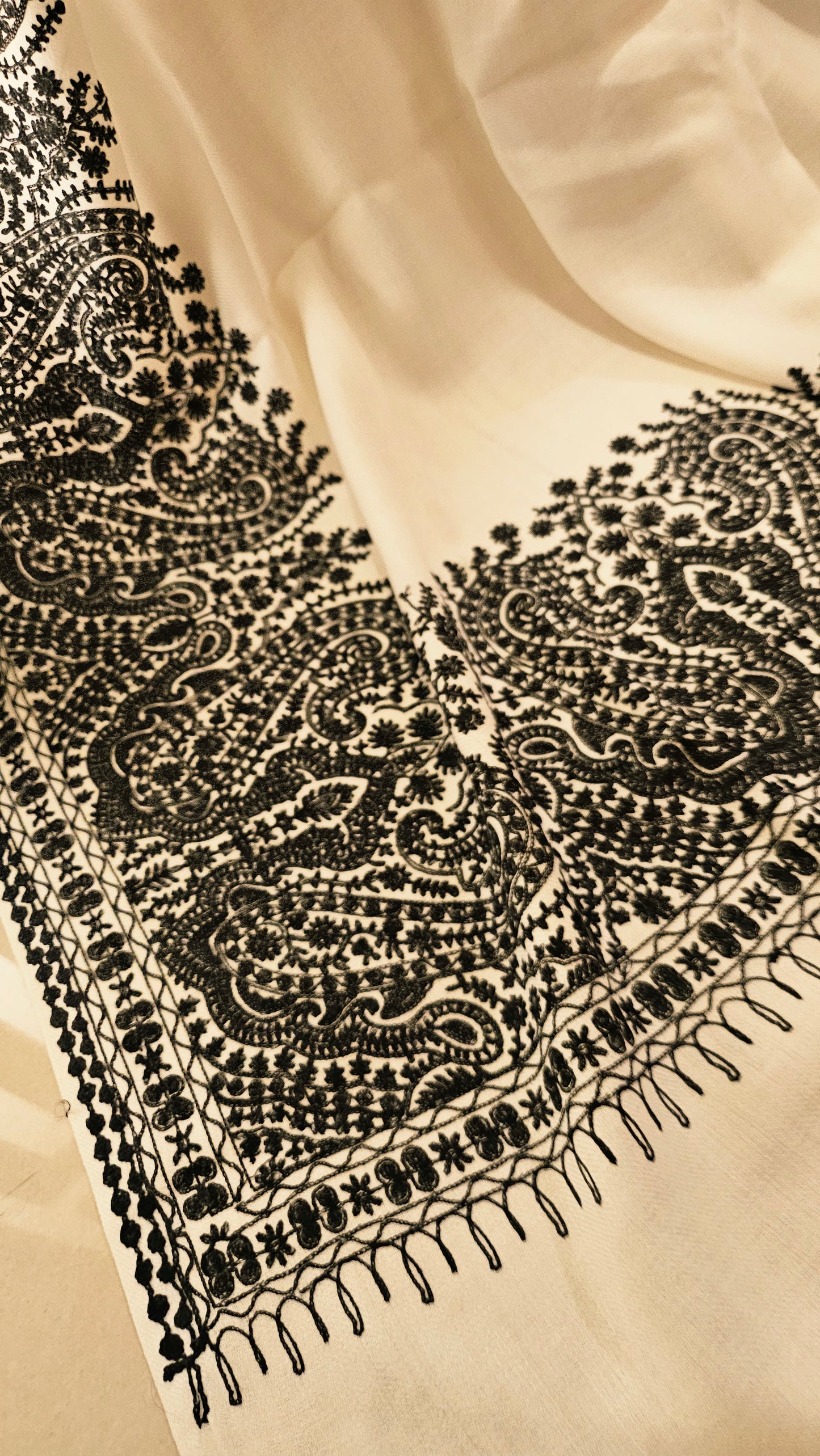 Border embroidered: Pashmina