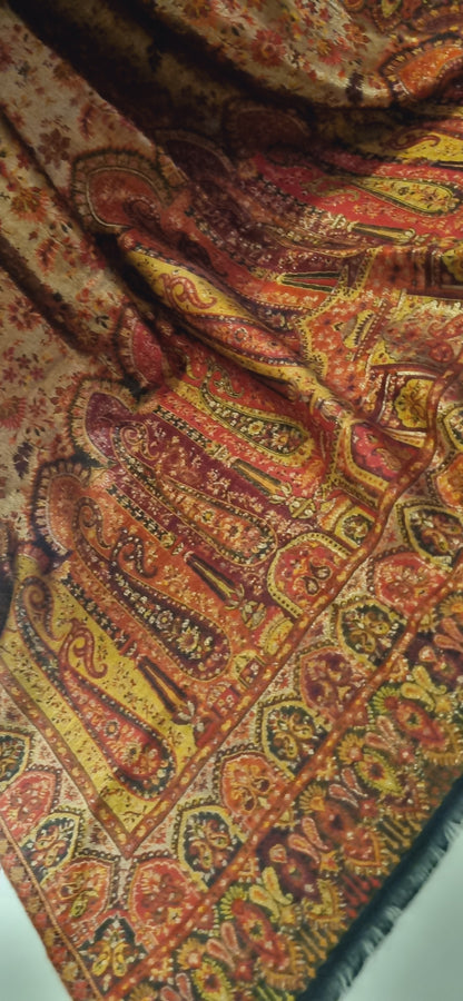 Moonlight gandhara reversible kaani shawl