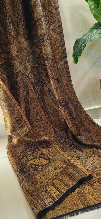 Reversible Moonlight gandhara kaani pashmina