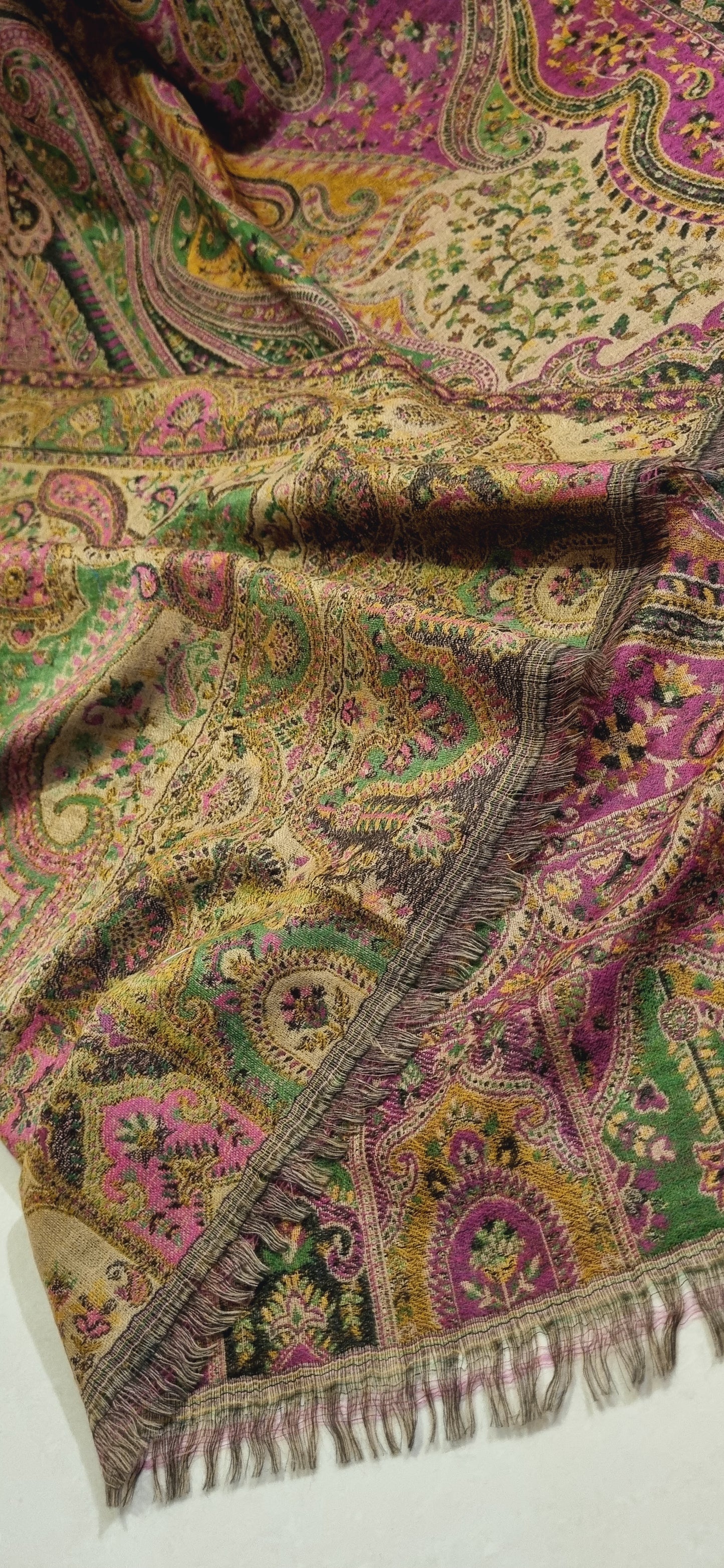 Reversible Persian kaani Pashmina shawl
