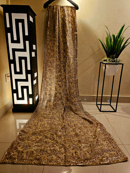 Embroidered georgete dupata