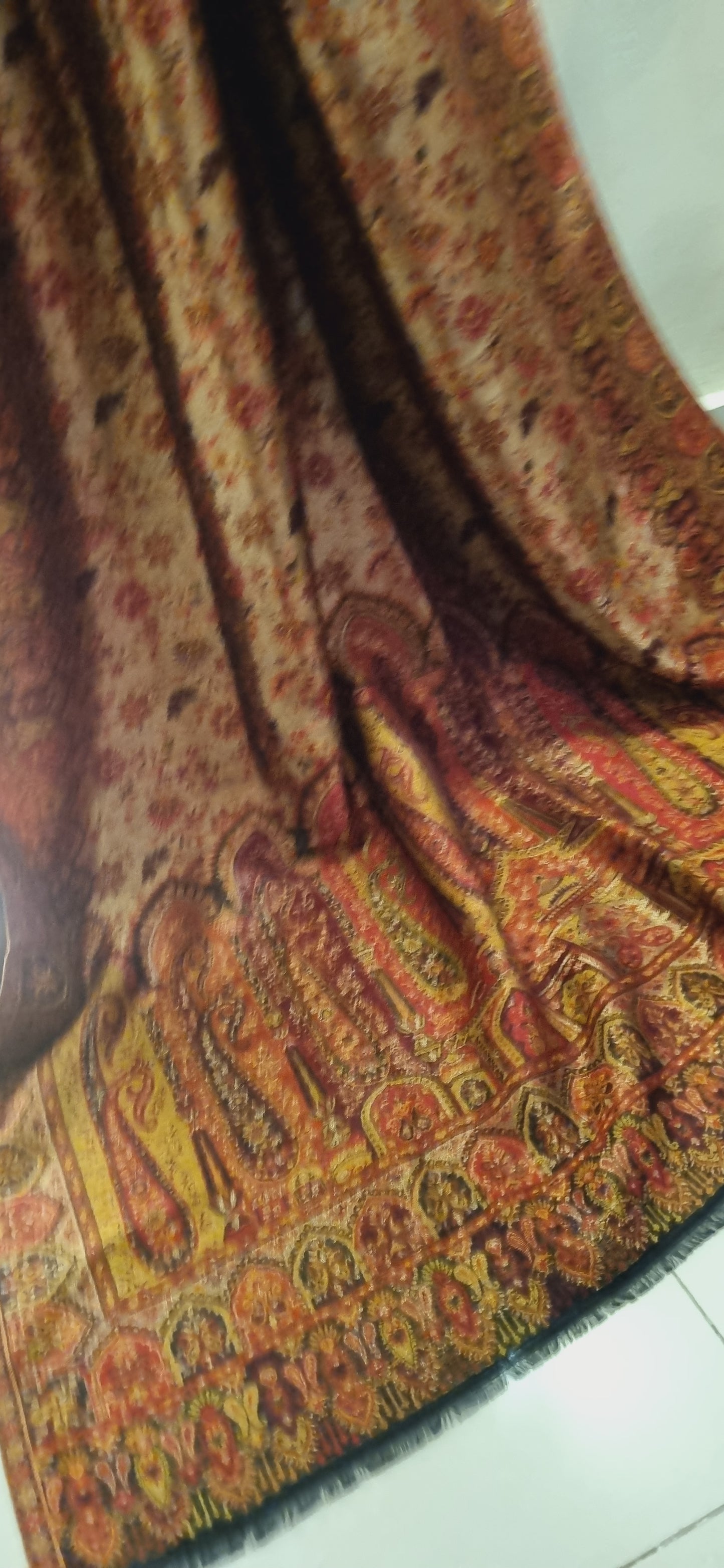 Moonlight gandhara reversible kaani shawl