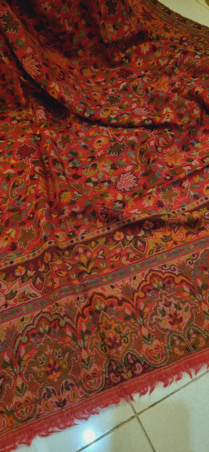 Persian kaani Pashmina shawl
