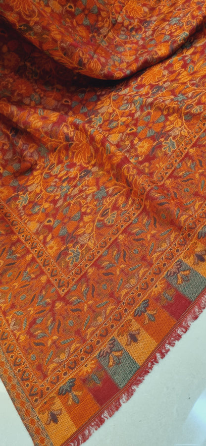 Woolen pashmina kaani shawl
