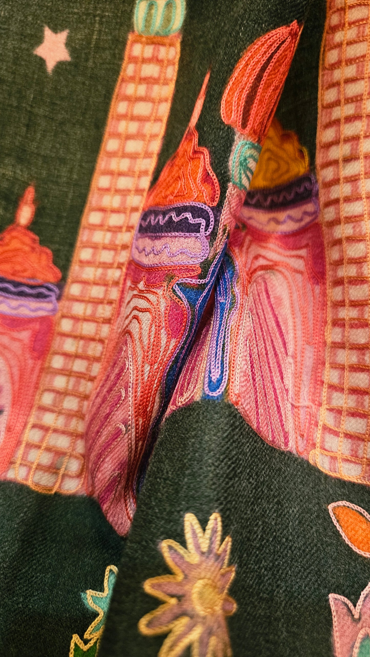 Reelkar embroidered:Pashmina